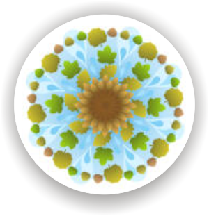 Kapha Dosha